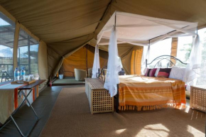 Serengeti Wildebeest Camp